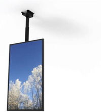 Hi-Nd Ceiling casing Universal for Samsung 55"" & LG, 55"", Portrait, no tilt Black RAL 9005