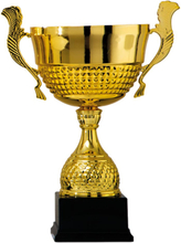 Luxe trofee/bokaal - goud - oren - kunststof - 36 x 18 cm