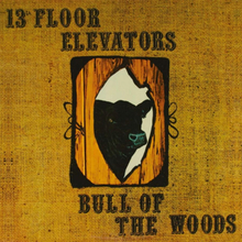 13th Floor Elevators: Bull Of The Woods