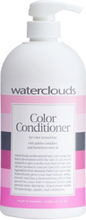 Color Conditioner, 70ml