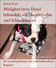 Müdigkeit beim Hund behandeln mit Homöopathie und Schüsslersalzen
