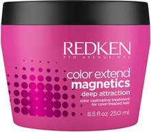 Redken Color Extend Magnetics Masque 250ml