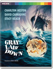 Gray Lady Down (Limited Edition)