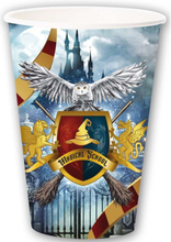 6 stk Harry Potter Inspirerte Pappkrus 240 ml - Magical School