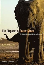 The Elephant`s Secret Sense - The Hidden Life of the Wild Herds of Africa