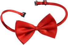 Bow Tie – Röd Fluga