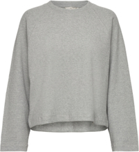 Barbara Sweatshirt Gots Tops Sweatshirts & Hoodies Sweatshirts Grey Basic Apparel