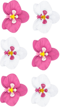 6 stk Orkide Blomsterdekorationer 8 cm - Aloha Tropical