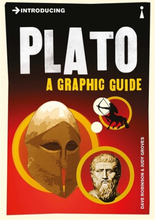 Introducing Plato