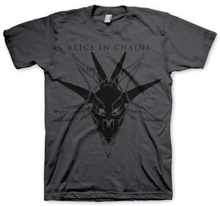 Alice In Chains: Unisex T-Shirt/Black Skull (Small)