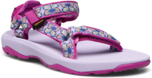 Hurricane Xlt 2 Shoes Summer Shoes Sandals Lilla Teva*Betinget Tilbud