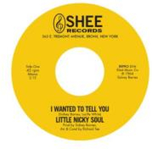 Little Nicky Soul: I Wanted To Tell You