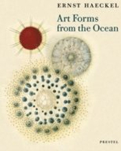 Art Forms from the Ocean: the Radiolarian Prints of Ernst Haeckel