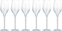 Aida Passion Connoisseur Champagneglass, 6 stk