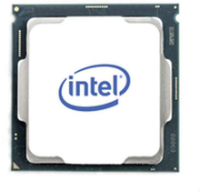 -prosessori Intel BX8070110105 LGA 1200