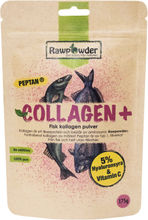 Fisk Collagen Plus 175g