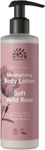 Dare to Dream Body Lotion Soft Wild Rose 245 ml