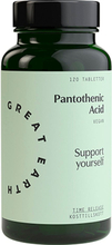 Great Earth Pantothenic Acid 120 pcs
