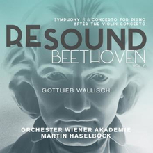 Wallisch Gottlieb: Resound Beethoven Vol 6