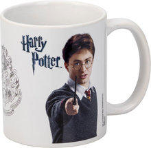 Mugg Harry Potter
