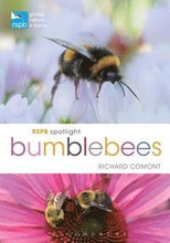 RSPB Spotlight Bumblebees