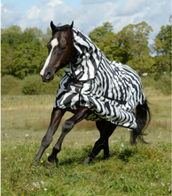 Bucas Sweet-itch Zebra.