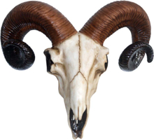 Rams Skull Figur med Väggfäste 33 cm