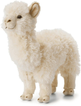 Knuffel alpaca/lama wit 31 cm knuffels kopen