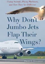 Why Don't Jumbo Jets Flap Their Wings?