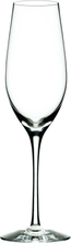 Orrefors Merlot Champagneglass 33 cl