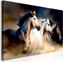 Canvas Tavla - Sons of the Wind Wide - 120x60