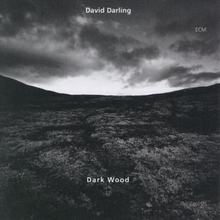 Darling David: Dark Wood