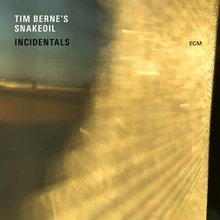 Tim Berne"'s Snakeoil: Incidentals