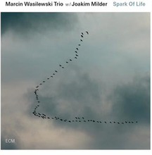 Marcin Wasilewski Trio: Spark of life 2014
