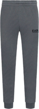Armani EA7 Core ID Track Pants Grey