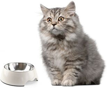 Removable Melamine and Stainless Steel Pet Bowl Anti-skid Round Bowl for Puppy and Kitty, Size L