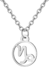 Necklace - Capricorn - Zodiac - Stainless steel