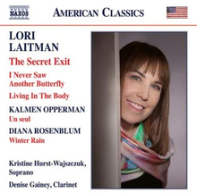 Laitman Lori: The Secret Exit / I Never Saw A...
