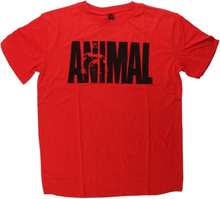 Animal Iconic Shirt Maat S Iconic Red
