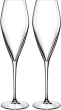 LB Atelier champagneglass Prosecco 2-pack 2 stk/pakke