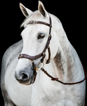 Horseware Micklem 2 Multi Bridle – Dark Havana (Brun) (Large Horse)