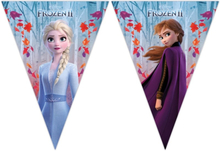 Disney Frozen 2 vlaggenlijn 2 meter