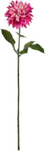 Kunstig blomst Dalia Morada 15 x 15 x 72 cm lyserød/grøn