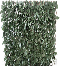 Siepe finta estensibile ombreggiante copertura con foglie lauro 100x200cm
