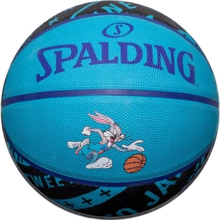 Spalding Ball Spalding Space Jam Tune Squad IV 84-598Z 84-598Z sininen 7