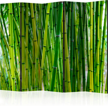 Rumsavdelare / Skärmvägg - Bamboo Forest II - 225x172