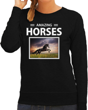Zwarte paarden foto sweater zwart voor dames - amazing horses cadeau trui Zwart paard liefhebber