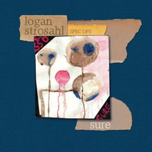 Strosahl Logan & Spec Ops: Sure