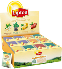 Zestaw Variety Pack Lipton 12 różnych smaków x 15 kopert