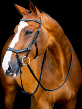 Horseware Micklem 2 Diamant Competition Träns - Svart (X-Full (Large Horse))